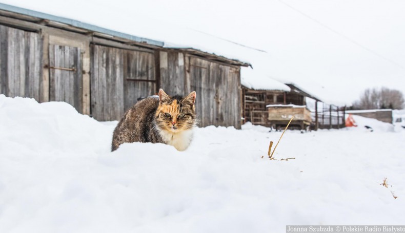 fot. Joanna Szubzda